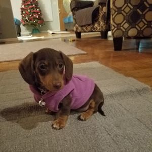 Meet your Posher, Kim